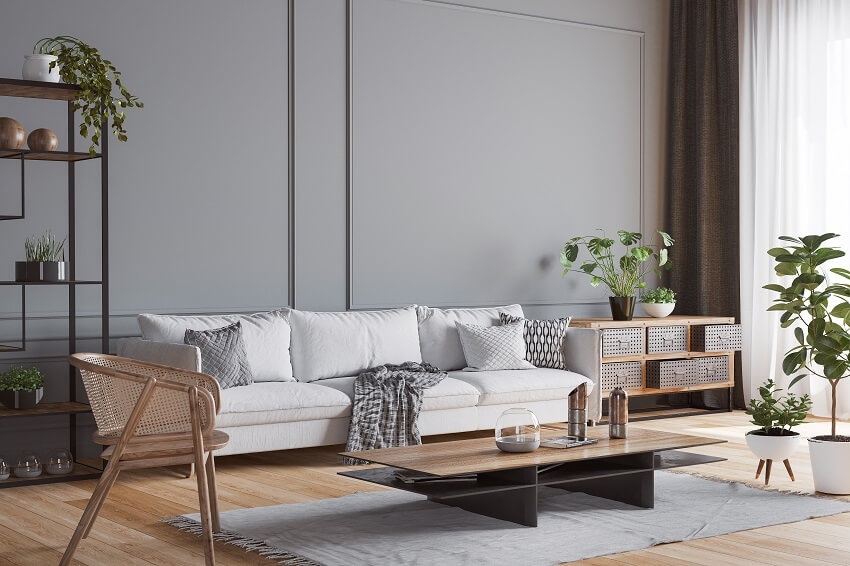 Living room interior with white sofa armchair fresh plants wooden coffee table and empty dark classic gray wall