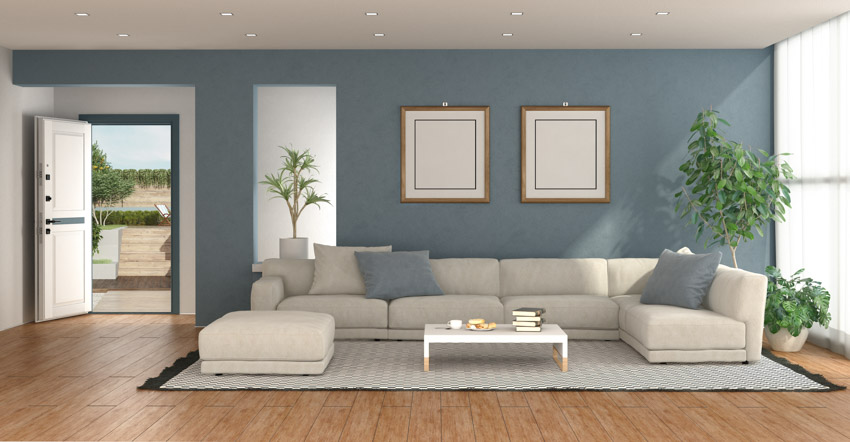 Living room wood floor pivot door couch indoor plants blue walls