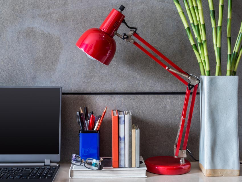 Spray paint red metal lamp laptop plant