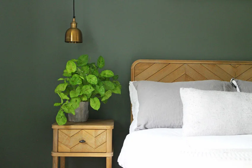 Wood nightstand headboard bed potted plant hanging light