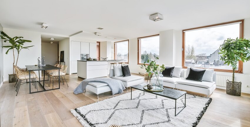 Bright room with three large windows, indoor plants and white contemporary chairs