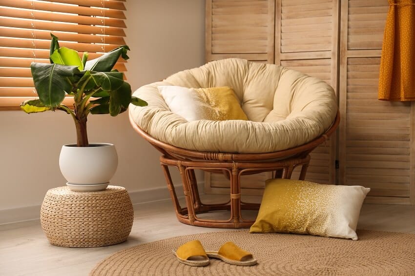 Exotic house plant in a white pot yellow sandals and a comfortable papasan chair with throw pillow in a room interior