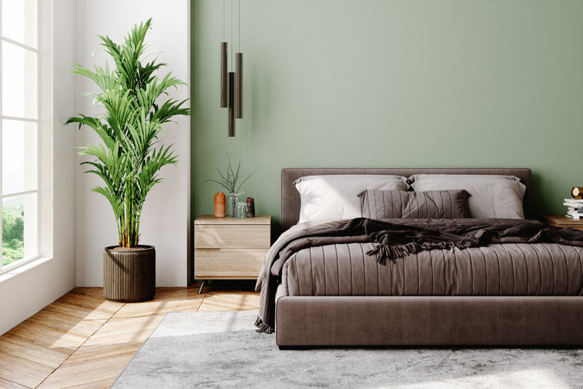 Green and white two color combination for bedroom walls wood floor windows indoor plant nightstand