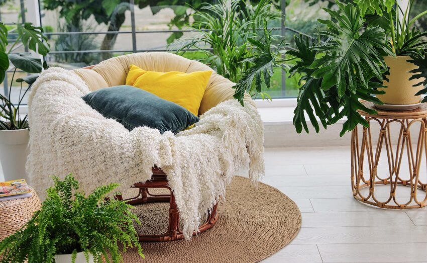 Indoor terrace with green plants and soft papasan chair with yellow and blue pillow