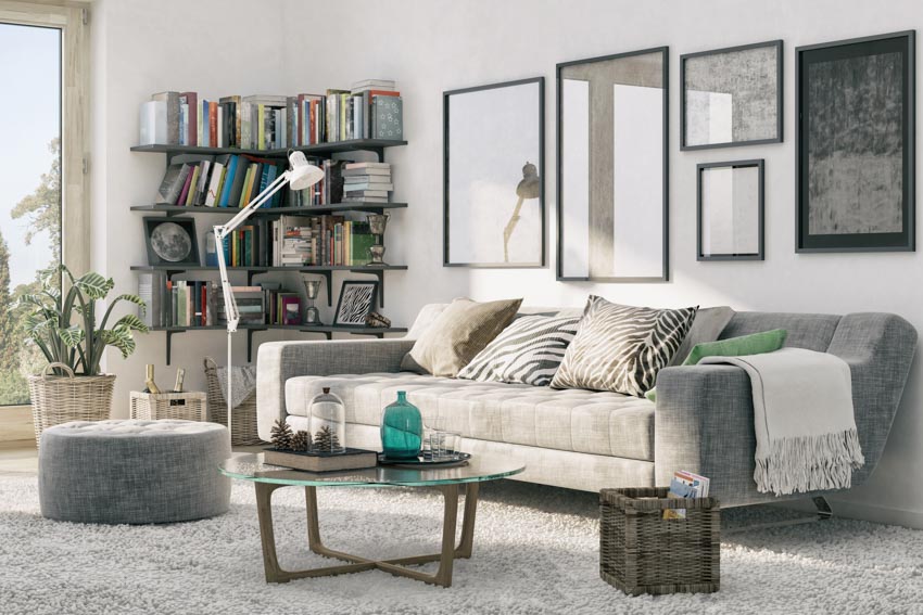 Living room couch bookshelf carpet indoor plant windows