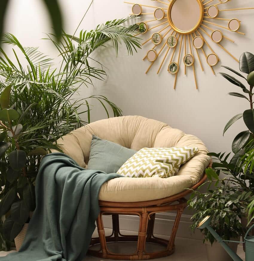 Lounge area interior with houseplants sun like mirror accessory and a comfortable papasan chair with throw pillow and blanket