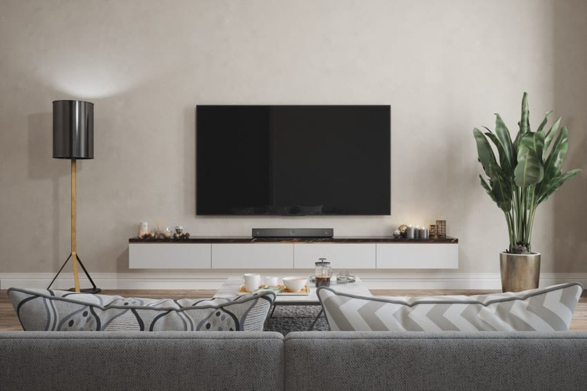 Wall mounted tv floor lamp sofa living room indoor plant