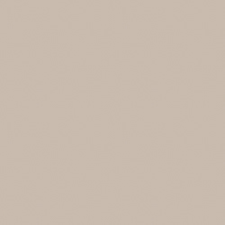 Benjamin Moore Big Bend Beige (AC-37)