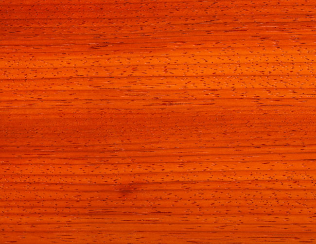 African Padauk type of wood grain pattern