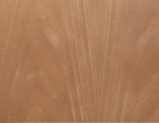 American Beech type of wood grain pattern