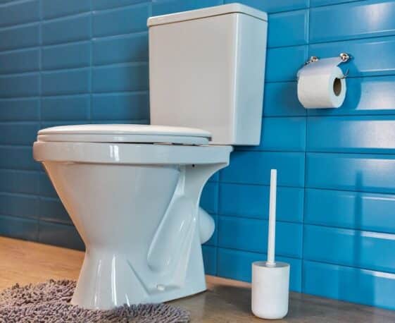 Pros and Cons of Upflush Toilets