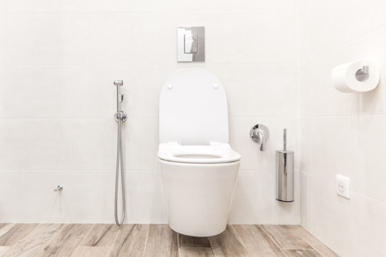 Bidet Pros And Cons