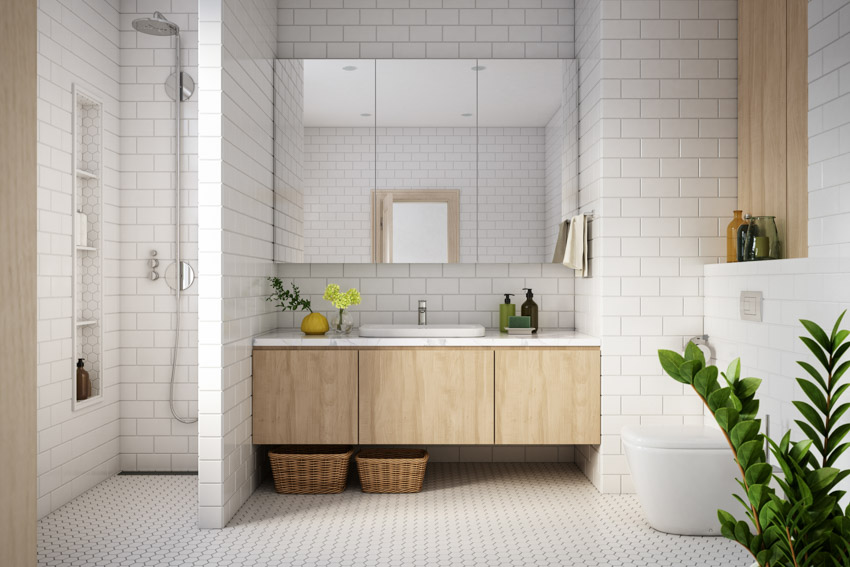 Bathroom with subway tile wall, shower, mirror, sink, and indoor plants