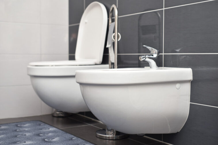 Bidet Pros And Cons