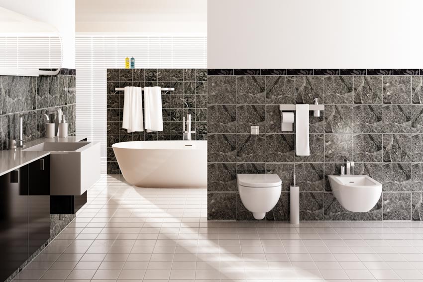 Beautiful bathroom with black and white wall, toilet, bidet, and tub