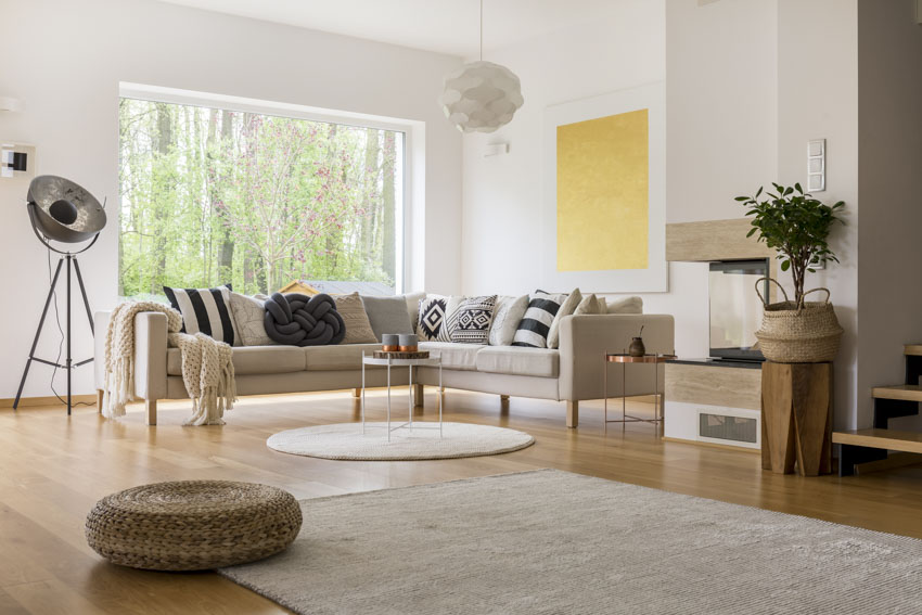 Beautiful living room with couch, large window, floor lamp, rug, and wood flooring