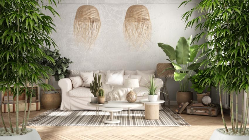 Beautiful living room with couches, rug, hanging lights, and potted bamboo plants