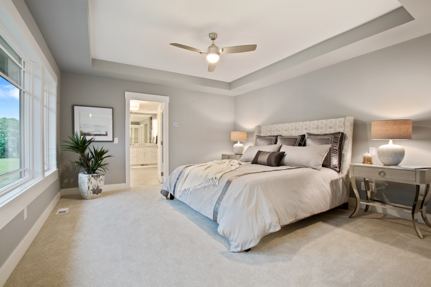 Bedroom with gray wall, tray ceiling, indoor plant, nightstand, lamp, and windows
