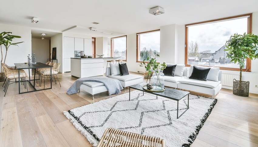 Open space layout with white sofa, large wood framed windows and indoor plants 