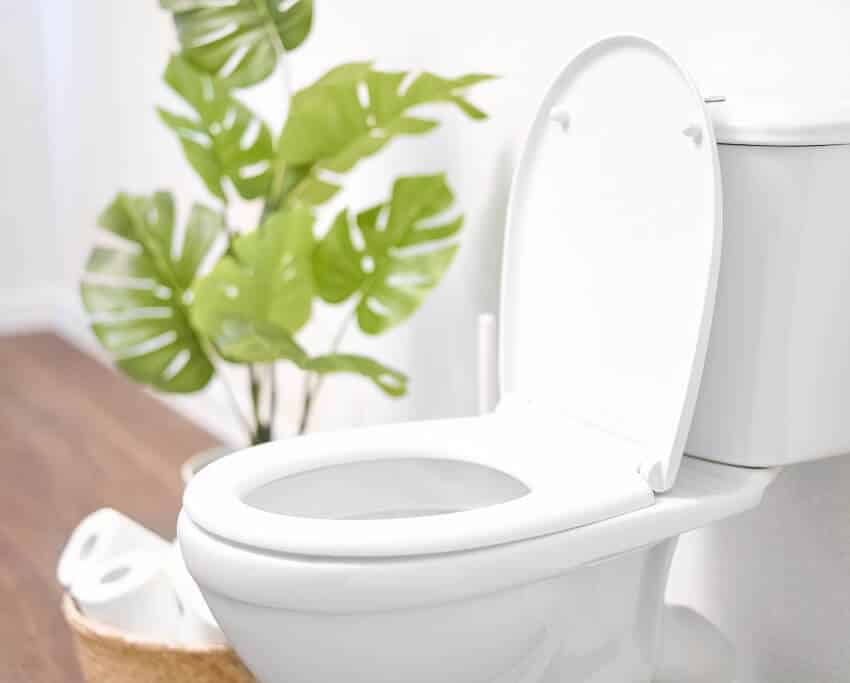 Ceramic toilet bowl with toilet paper in a basket and plant on the side