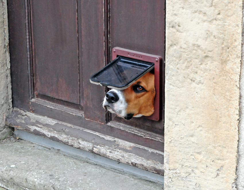 Dog door flap for pets