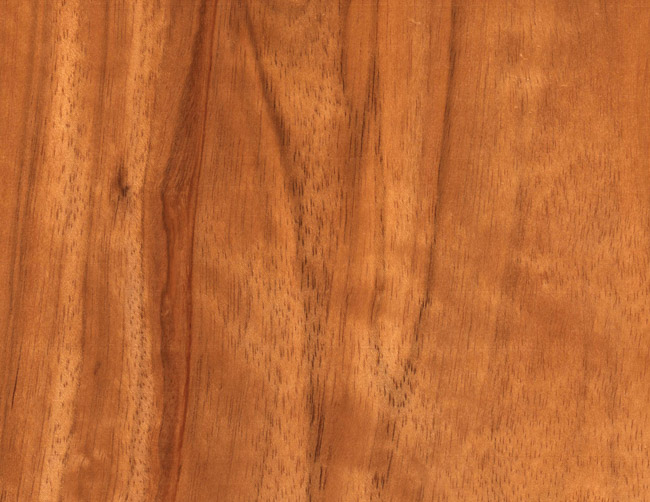 English walnut types of wood grain pattern