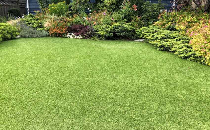 Lawn area with artificial turf for dogs