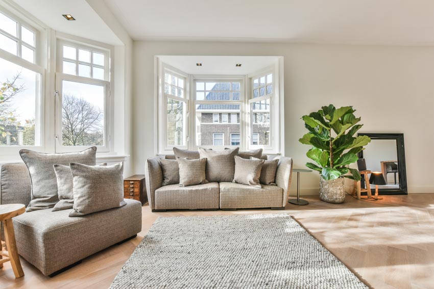 Living space with carpet, couches, wood floor, and indoor plant