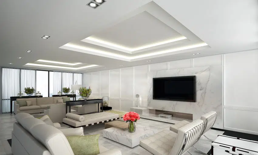 Living room with dropped ceiling, recessed lights, couch, indoor plants, and television