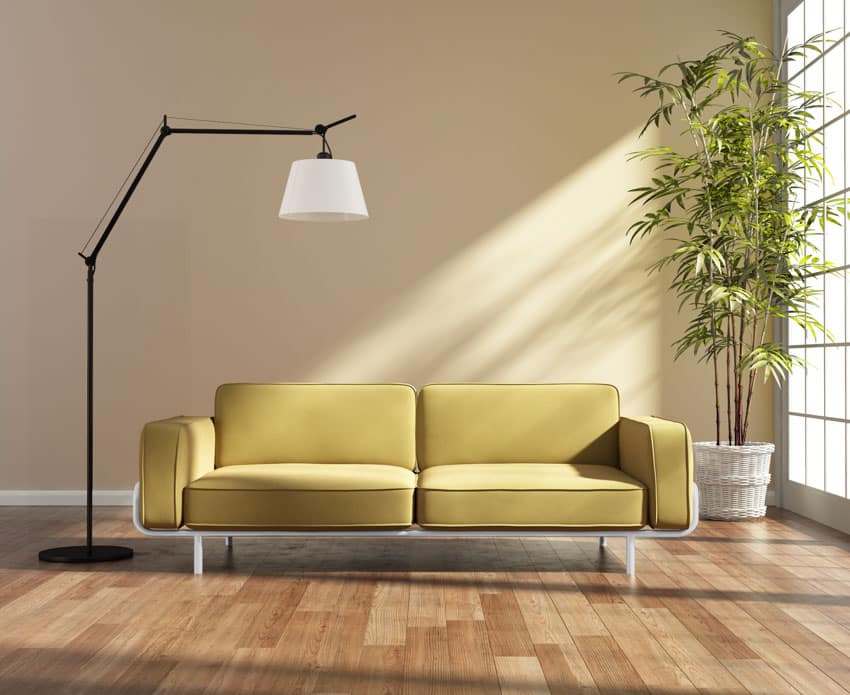 Living room with green couch, wood flooring, floor lamp, and bamboo house plant in pot 