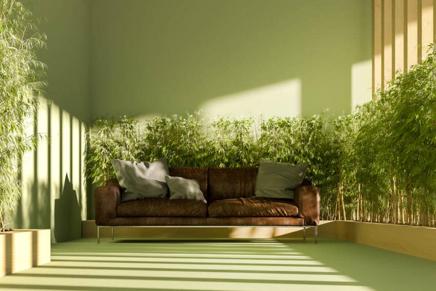 Living room with green walls, brown couch, and bamboo plants