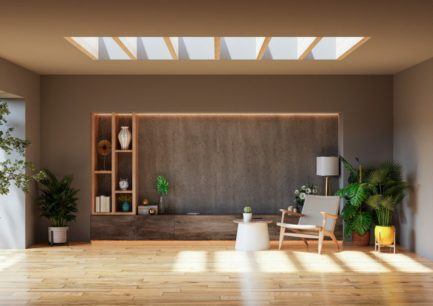 Minimalist living room with gray walls, cream ceiling, skylight, wood floor, lamp, chair, indoor plants, and shelves