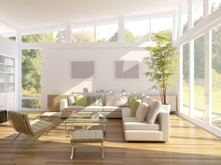 Spacious and bright living room with windows, wood floor, couches, chairs, and bamboo house plants
