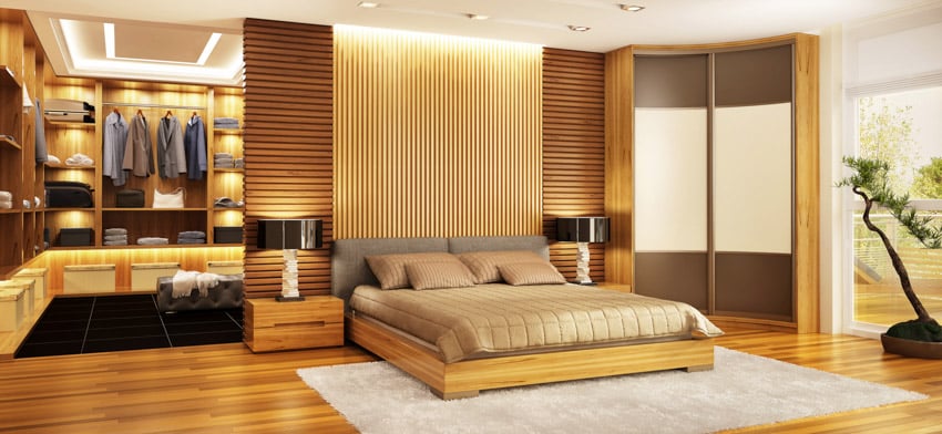 Spacious bedroom with modern black lamp, wood floors, accent wall, and closet rug