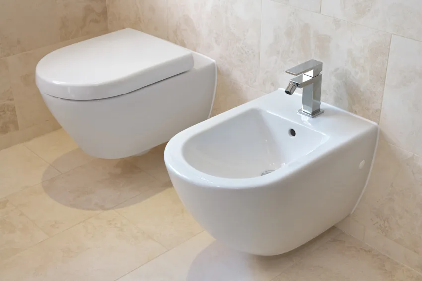 Toilet and standalone type of bidet inside a bathroom