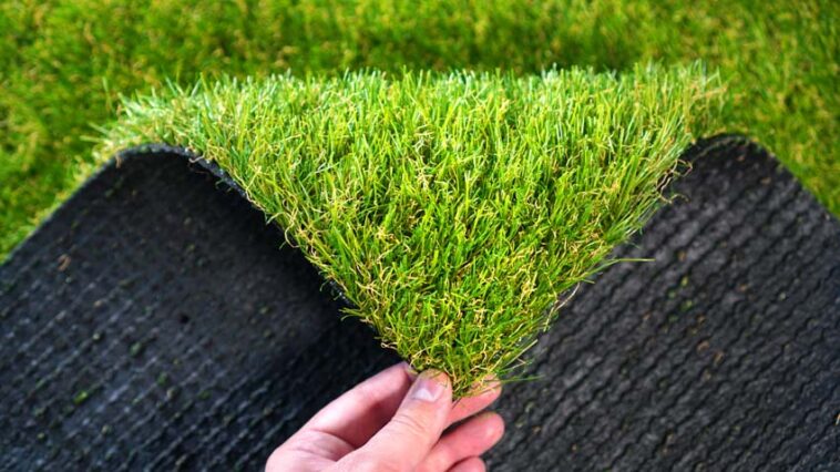 Artificial Turf For Dogs Pros And Cons - Designing Idea