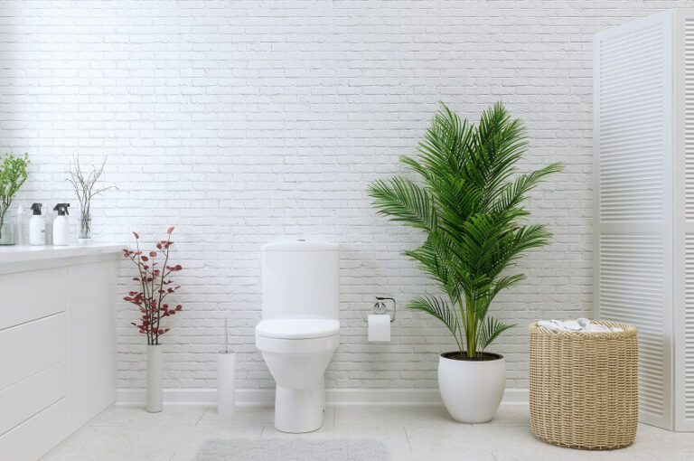Pros and Cons of Upflush Toilets