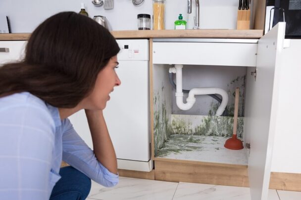 Water Damage Under Kitchen Cabinets