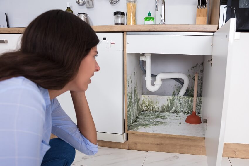 Young woman looking at mold caused by water damage under cabinet