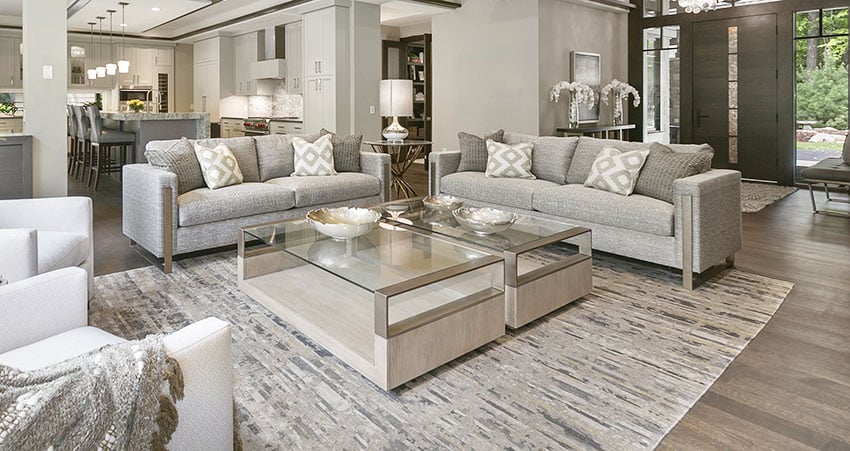 Living room with two sofas, glass coffee table, large rug and gray color scheme