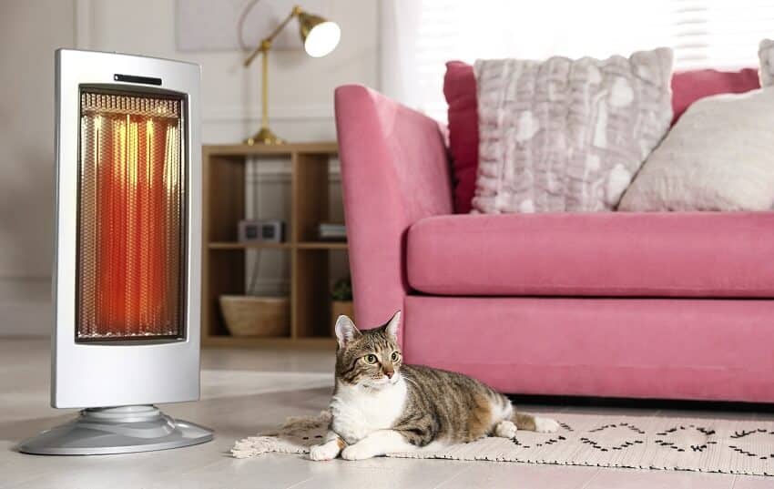 A pink couch and cat on floor near infrared heater in room