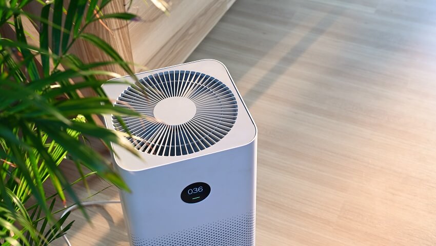 Adsorbent air purifier and plant on wooden floor in comfortable home