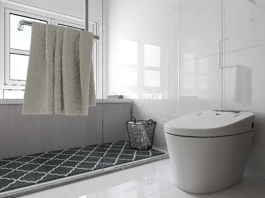 Bathroom with incinerating toilet, patterned rug and shower glass door