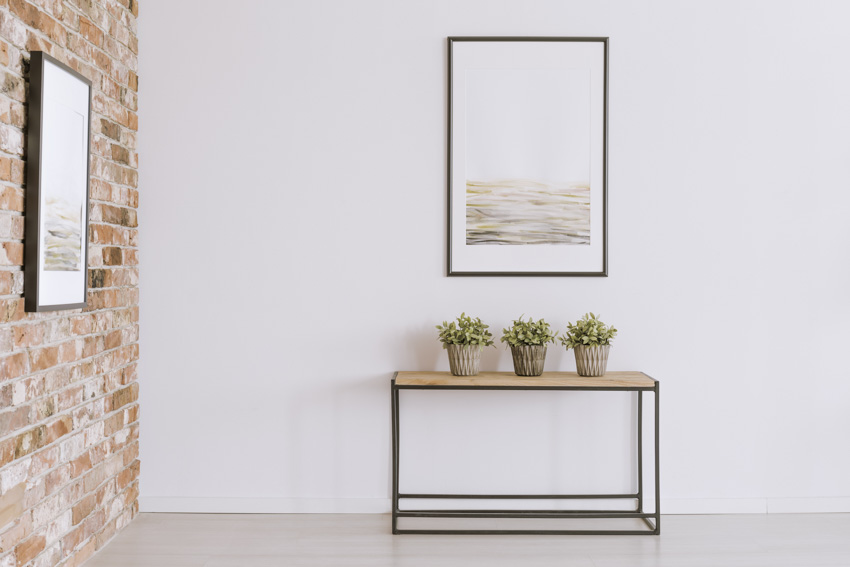 Console table with indoor plants and accent wall