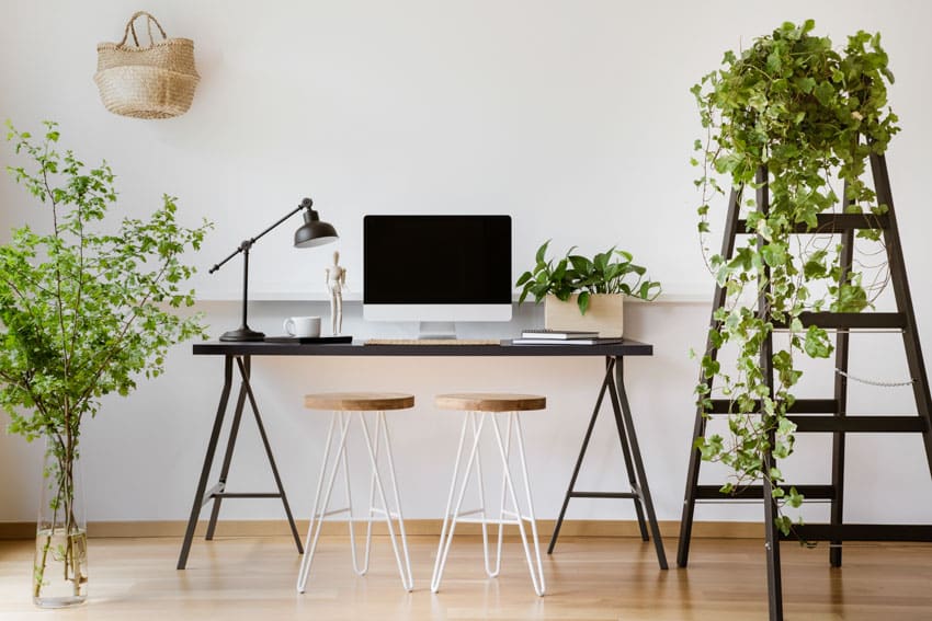Home office with trestle desk, computer lamp, chair, and indoor plants