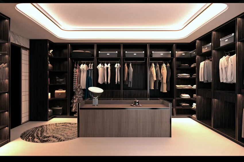 Closet with center storage and tray ceiling