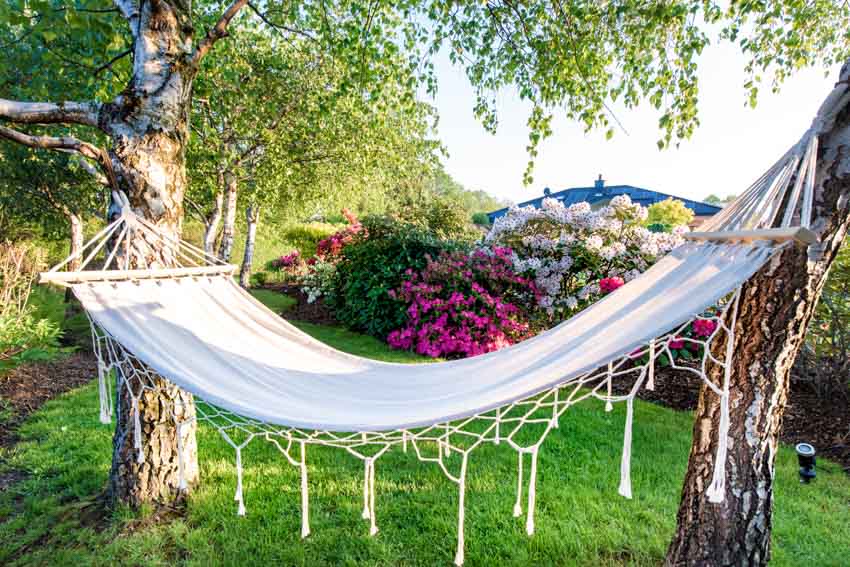 Outdoor area with hammock installed on trees