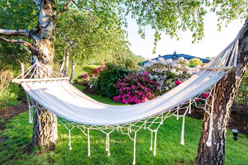 Hanging hammock installed on trees