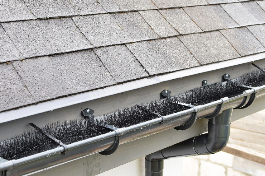 Plastic guard brush style in dark grey plastic rain gutter on asphalt shingles roof