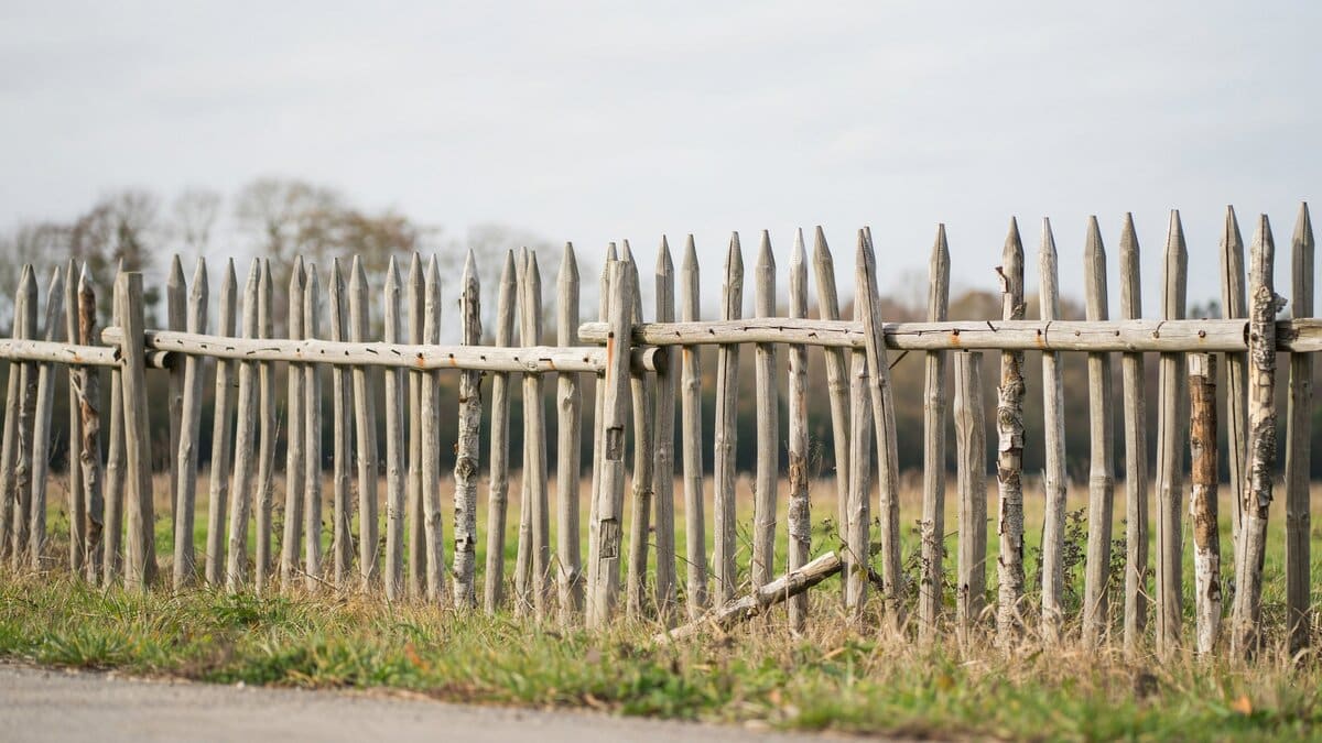 Untreated wood stockade fence made of rough cut pointed stakes with horizontal rails